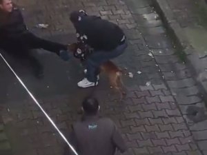 Güngören’de Pitbul Dehşeti, Pitbulun Isırdığı Genci Zor Kurtardılar