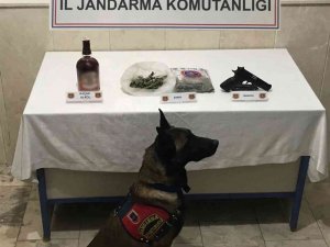 Üzerinde Uyuşturucu, Tabanca Ve Sahte İçki İle Yakalandı