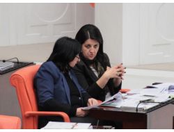 Hdp Grup Başkanvekili Pervin Buldan: