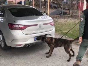 Tem’de 4 Kilo 700 Gram Esrar Ele Geçirildi: 1 Gözaltı