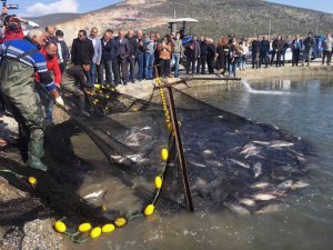 Balıkçılar Ağı Tarladan Çekti