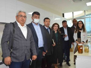 Özbekistan Tarım Bakanlığı Heyeti Batem’de