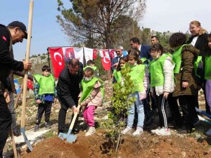 Kozan’da Yanan Ormanlar Yeniden Fidanla Buluşuyor