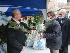 Şahinbey’de 150 Bin Çam Fidanı Dağıtıldı