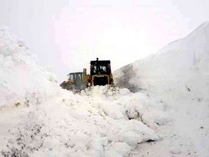 Siirt’te Kar Yağışı Nedeniyle 53 Köy Yolu Ulaşıma Kapandı