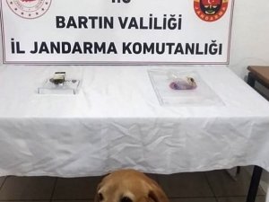 Orman Muhafaza Memuru Uyuşturucu Kullanırken Yakalandı