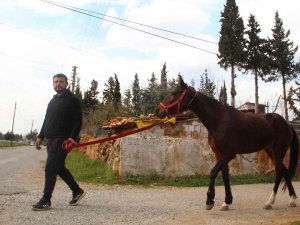 Çaldığı Atla Markete Girip Attan Kasada İndi