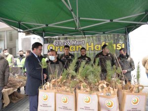 Türkeli’de Vatandaşlara Bin Fidan Dağıtıldı