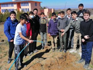 Öğrenciler Okullarının Bahçesini Ağaçlandırdı