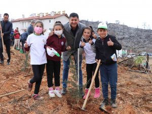 Güzelbağ Yangın Bölgesinde 3 Bin 800 Fidan Toprakla Buluştu
