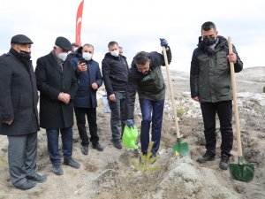 Kütahya’da 10 Yılda 16 Milyon Fidanı Toprakla Buluştu