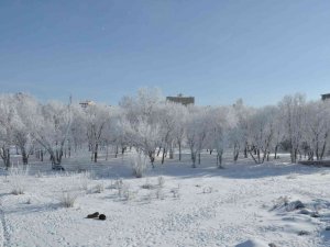 Kars’ta Eksi 13’ü Gördü, Ağaçlar Kırağı Tuttu