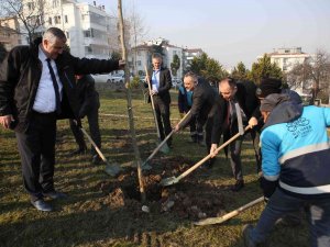 Fidanlar Toprakla Buluştu