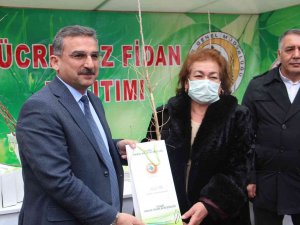 Elazığ’da Üreticilere 6 Bin 500 Dut Fidanı Dağıtıldı