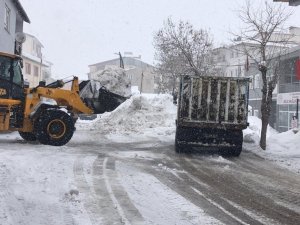 Karlıova’da Kar, Kamyonlarla Taşınmaya Devam Ediyor