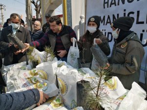 Hanönü’de Vatandaşlara Ücretsiz Fidan Dağıtıldı