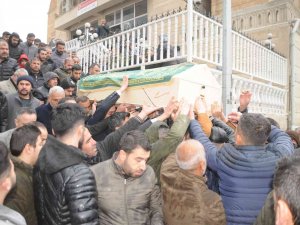 Cizre’den Ankara’ya Araba Almaya Gitti, Cenazesi Geldi