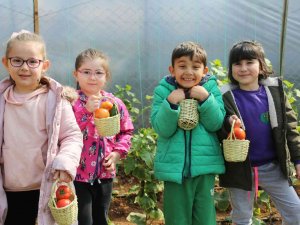 Minik Ellerin İlk Hasat Sevinci