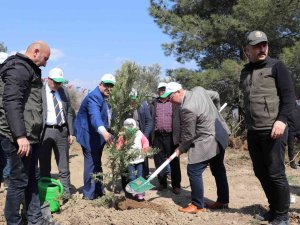 Şehit Yaşar Cinbaş Hatıra Ormanı Kırkağaç’ta Törenle Açıldı
