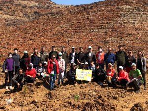 Anadolu İ̇mam Hatip Lisesi Öğrencileri Fidan Dikti