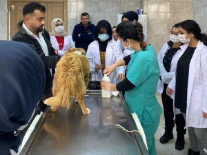 Rehabilitasyon Merkezinde Öğrenciler Ders Görecek