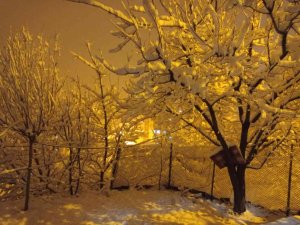 Hakkari’de 49 Yerleşim Yerinin Yolu Ulaşıma Kapandı
