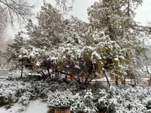 Baharı Bekleyen Başkentliler Güne Yine Karla Başladı