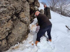 Karlıova Kırsalına 550 Kilo Yem Bırakıldı