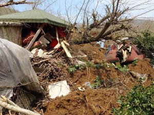 Ordu’da Heyelan Evleri Yuttu: 3 Ev Ve Bir Ahır Yıkıldı, İnekler Telef Oldu