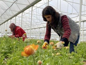 Meslek Lisesi Öğrencileri İçin Uygulamalı Tarım Protokolü
