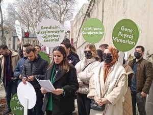Mimari Ve Şehircilik Platformu’ndan İ̇bb’ye "Çınar Ağacı’ Tepkisi