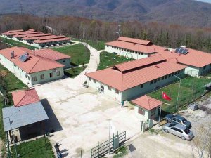 İ̇lçelere Sokak Hayvanları Üniteleri Kurulacak