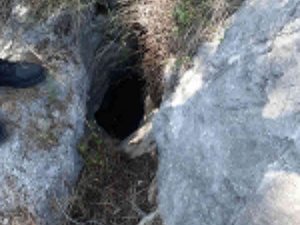 İ̇tfaiye’den Keçi Kurtarma Operasyonu