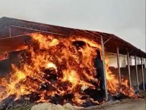 Konya’da Saman Balyaları Alev Alev Yandı