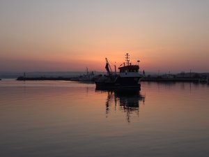 Balıkçılara Mayın Engeli: Karadeniz’deki Balıkçılar Limana Döndü