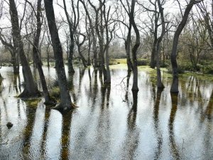 Vali Dağlı’dan Kuş Cenneti’ne Davet: "Herkes Bu Doğal Güzelliği Görmeli"
