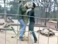 Aslan muhabire saldırdı (VİDEO)