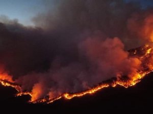 Meksika’da 33 Ayrı Noktada Aktif Orman Yangını Bildirildi