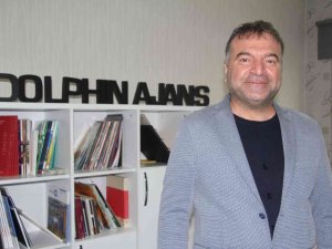 Dolphin Ajans Global Oldu