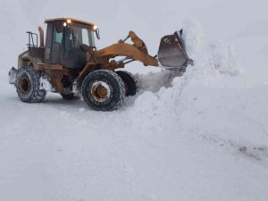 Erzurum’da 325 Mahalleye Ulaşım Sağlanamıyor