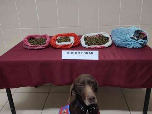 Uyuşturucu Operasyonunda 4 Şahıs Gözaltına Alındı
