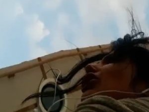 Üniversite Kampüsünde Başıboş Köpek Dehşeti