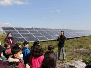 Minik Öğrenciler Maski̇’nin Çevreci Güneş Enerjisi Santralini Gezdi