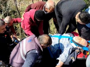 Koyun Otlatırken Kayalıklardan Düştü