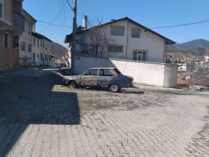 Park Halindeki Otomobil Alev Alev Yandı