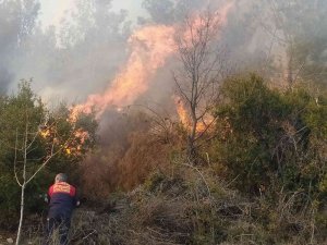 Kontrolden Çıkan Anız Ateşi, Ormanlık Alana Sıçradı
