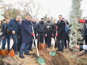 Hemşehri Dernekleri Fidan Dikti