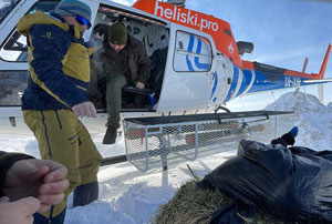 Çengel boynuzlu dağ keçileri için Kaçkarlara helikopterle yem taşındı