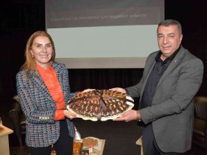 Kayısının Sağlığa Faydaları Panelde Anlatıldı