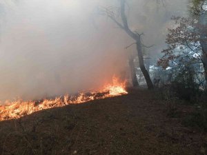 Manisa’da Orman Yangını Köylülerin De Yardımıyla Kontrol Altına Alındı